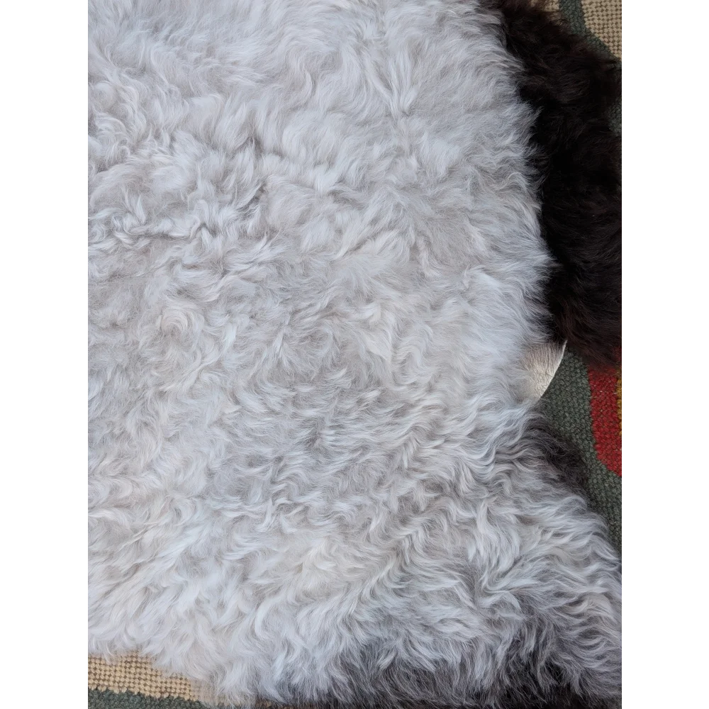 A large 43 by 35 inch soft curly white icelandic sheepskin rug with dark brown edge by angus oliver
