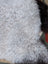 A large 43 by 35 inch soft curly white icelandic sheepskin rug with dark brown edge by angus oliver