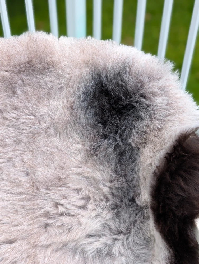 A soft icelandic sheepskin rug with long wool in natural gray and white gradient by angus oliver sized 43.5 x 33 inches