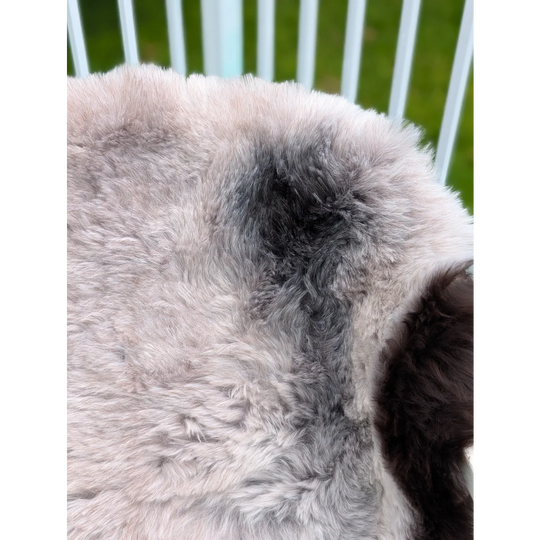 A soft icelandic sheepskin rug with long wool in natural gray and white gradient by angus oliver sized 43.5 x 33 inches