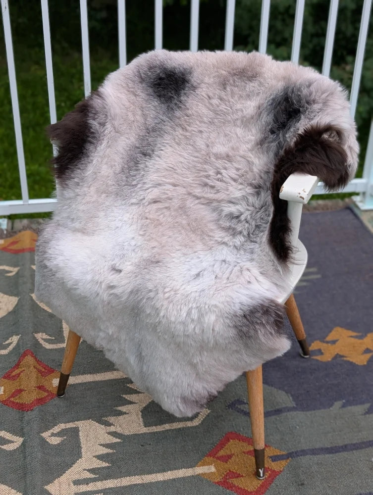 A plush gray and black long wool icelandic sheepskin rug draped over a white chair with wooden legs by angus oliver