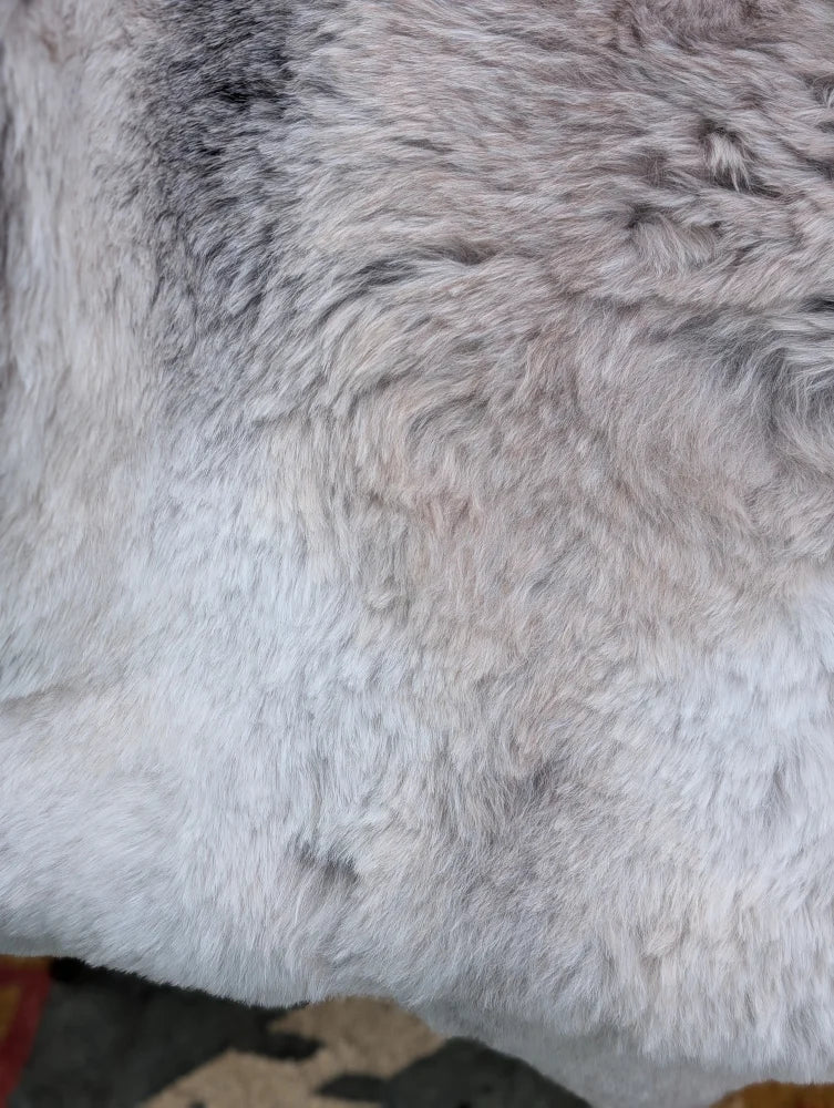 Soft plush long wool icelandic sheepskin rug in light gray and white gradient by angus oliver 43.5 x 33 inches