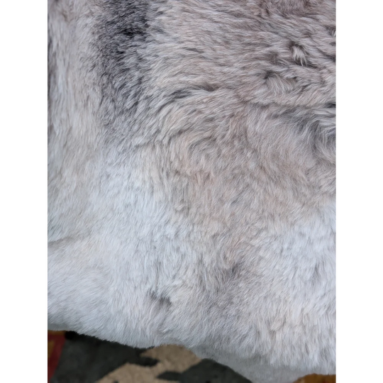 Soft plush long wool icelandic sheepskin rug in light gray and white gradient by angus oliver 43.5 x 33 inches