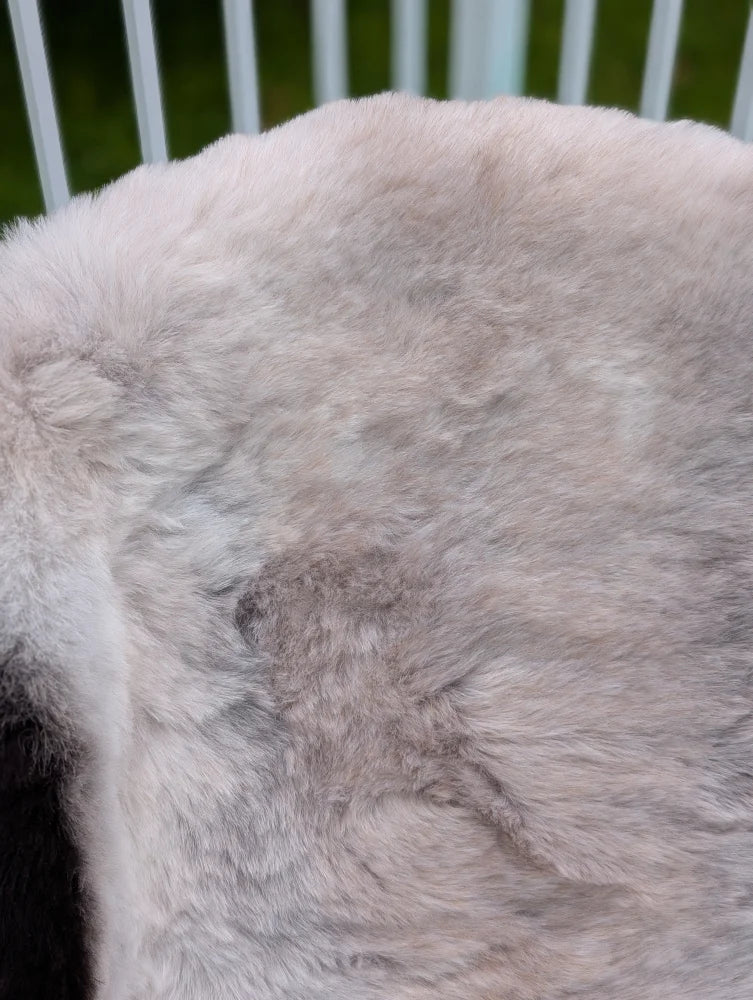 A soft light gray large icelandic sheepskin throw with long wool and plush texture by angus oliver
