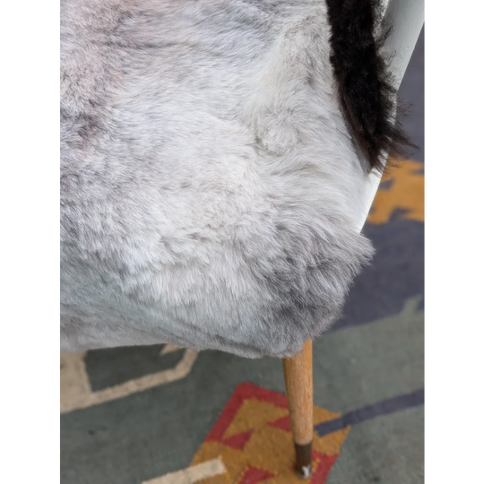 A plush gray faux fur icelandic sheepskin chair cover with soft dense texture and black tail accent by angus oliver