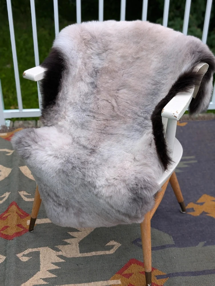 A large 44 x 31 icelandic sheepskin throw with light gray and black long wool icelandic fur on a white chair by angus oliver