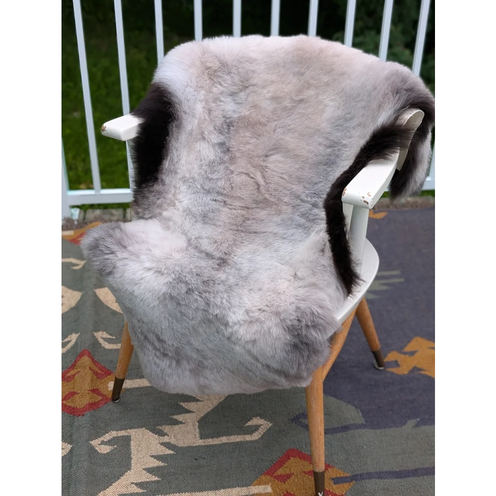 A large 44 x 31 icelandic sheepskin throw with light gray and black long wool icelandic fur on a white chair by angus oliver