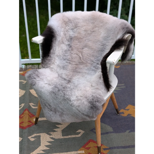 A large 44 x 31 icelandic sheepskin throw with light gray and black long wool icelandic fur on a white chair by angus oliver