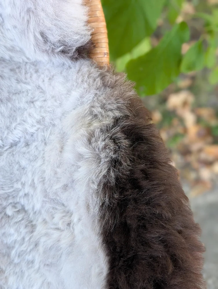 A plush 43 x 31 inch large icelandic sheepskin rug with long wool icelandic texture and dark edges in white and brown