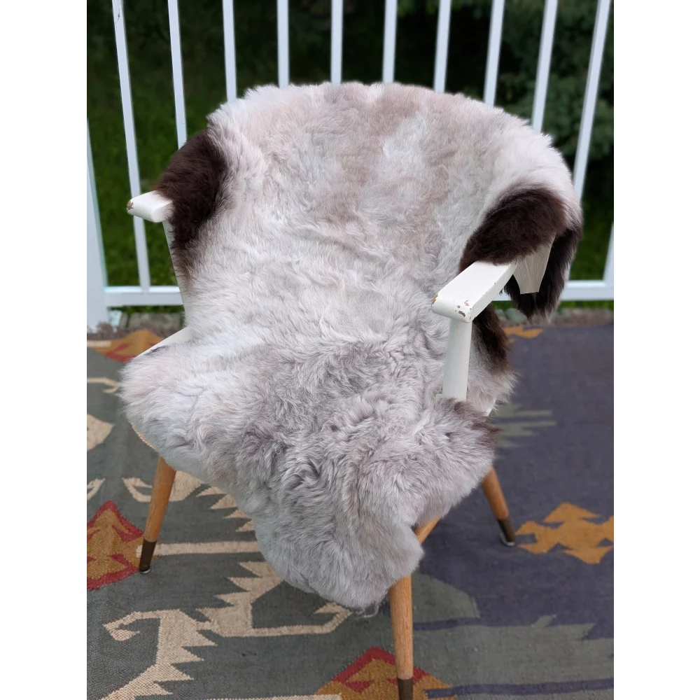 A large icelandic sheepskin rug in soft gray with dark brown patches draped over a white wooden chair by angus oliver