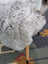 A plush light gray long wool icelandic sheepskin throw draped over a wooden chair leg by angus oliver