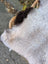 Large 43 x 31 inch icelandic sheepskin rug with fluffy long wool and natural dark edges in gray and brown tones