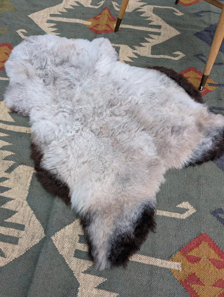 A large icelandic sheepskin rug 43 by 31 with soft long wool in a gradient from light gray to dark brown by angus oliver