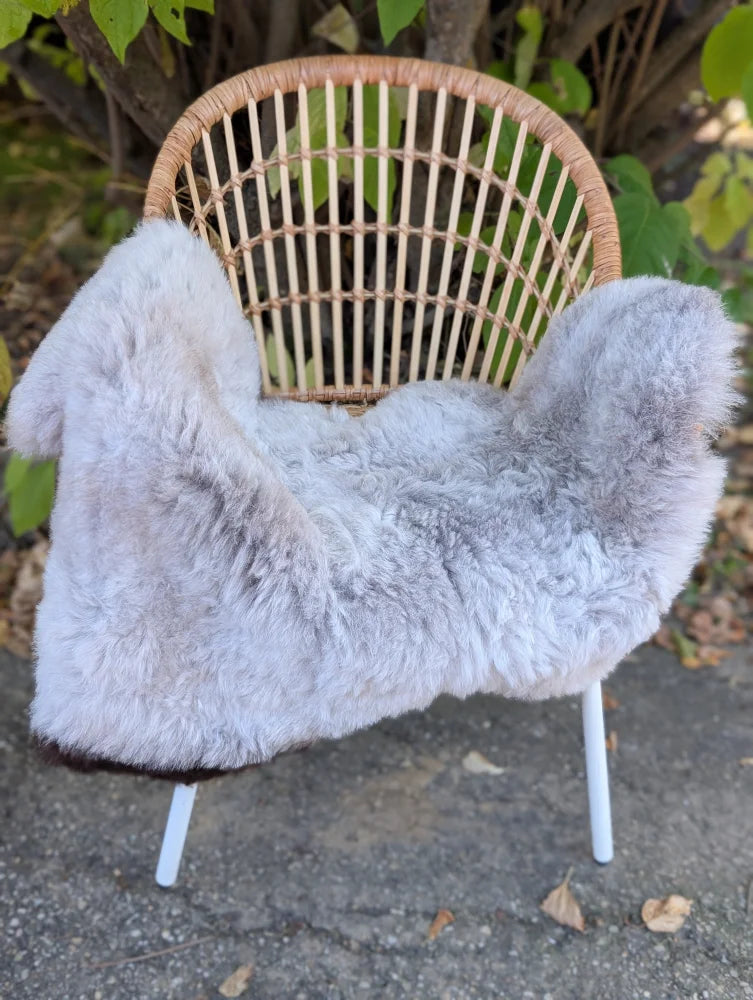 A soft light gray large icelandic sheepskin with long wool and dark edges draped over a wicker chair with white metal legs