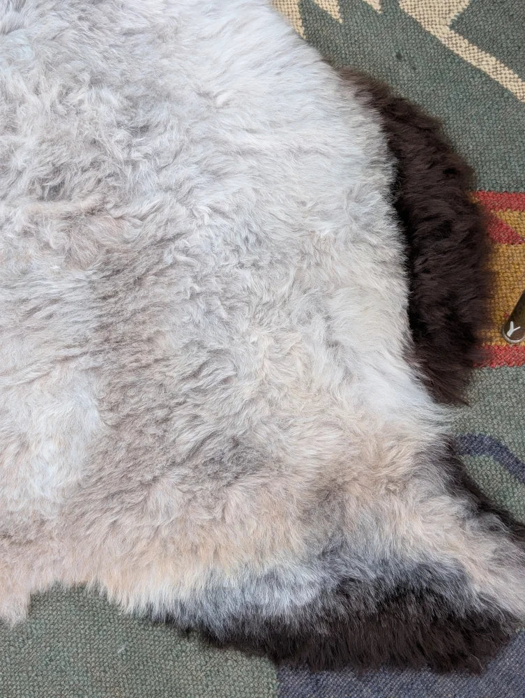 A large 43 x 31 inch icelandic sheepskin rug with long wool and a natural gray to brown gradient by angus oliver