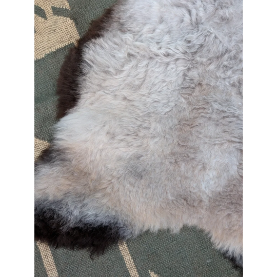 A soft fluffy gray icelandic sheepskin rug with long wool and natural edges from angus oliver measure 43 by 31 inches