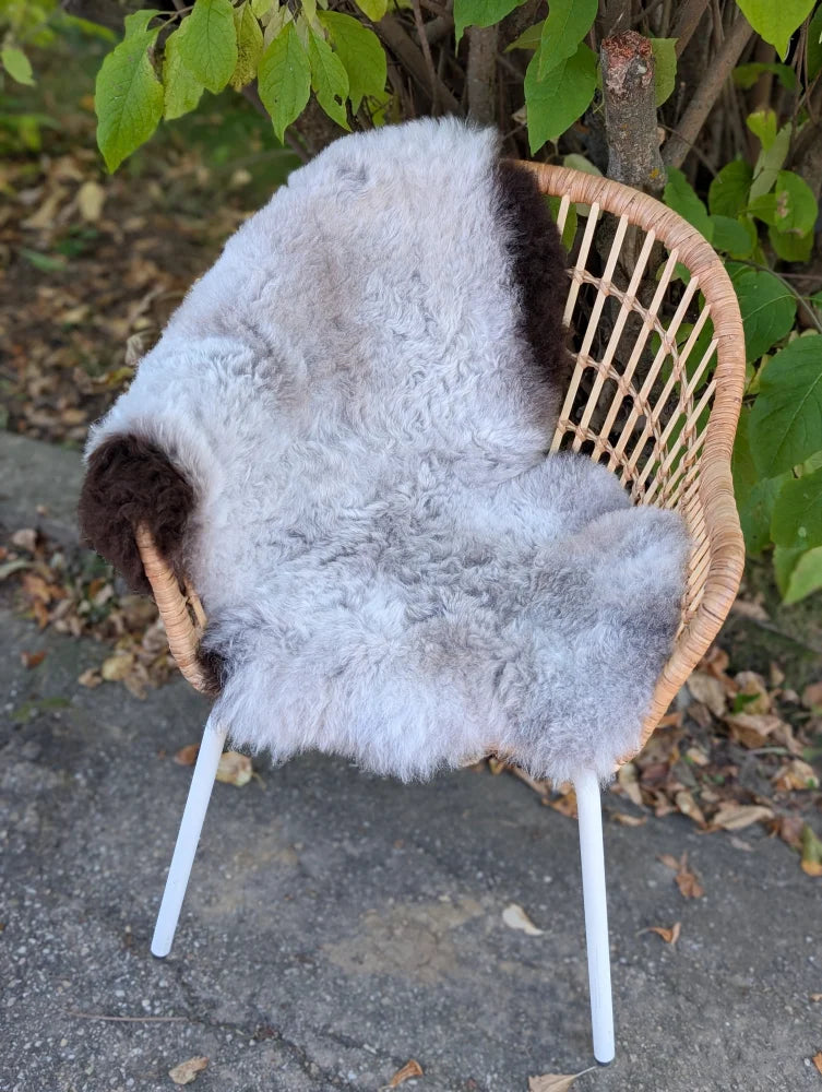 A soft large icelandic sheepskin throw with long wool icelandic fur in light gray and dark edges on a wicker chair