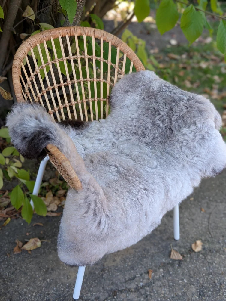 A soft fluffy gray icelandic sheepskin rug with long wool and dark edges draped over a wicker chair with white metal legs