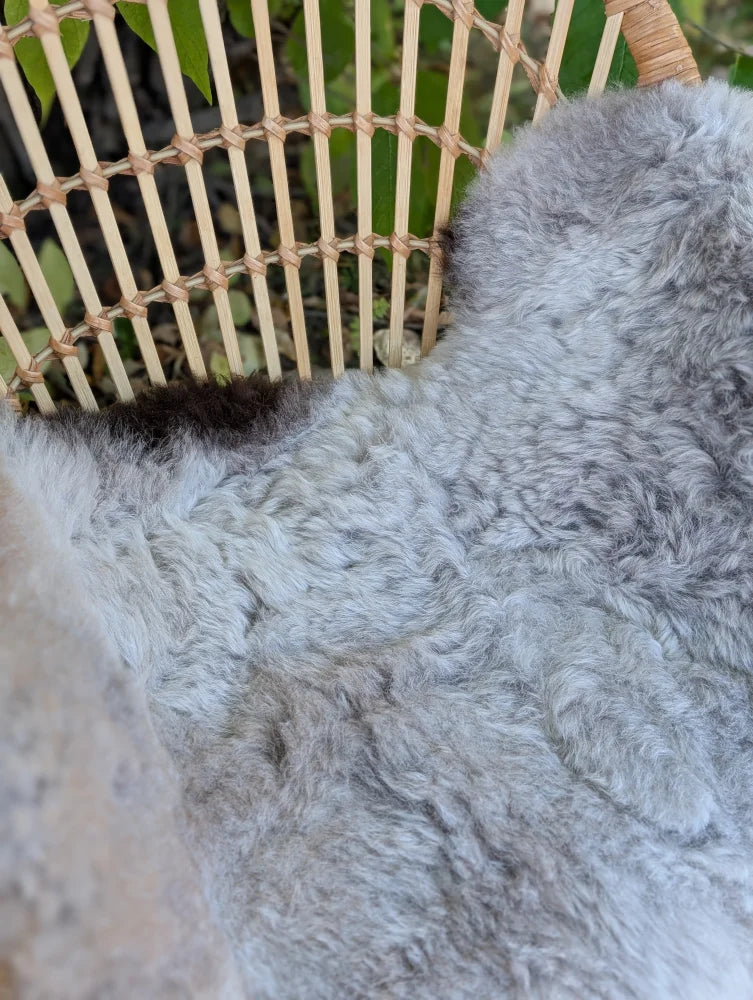 A large 43 x 31 inch soft gray icelandic sheepskin rug with long wool and natural dark edges details
