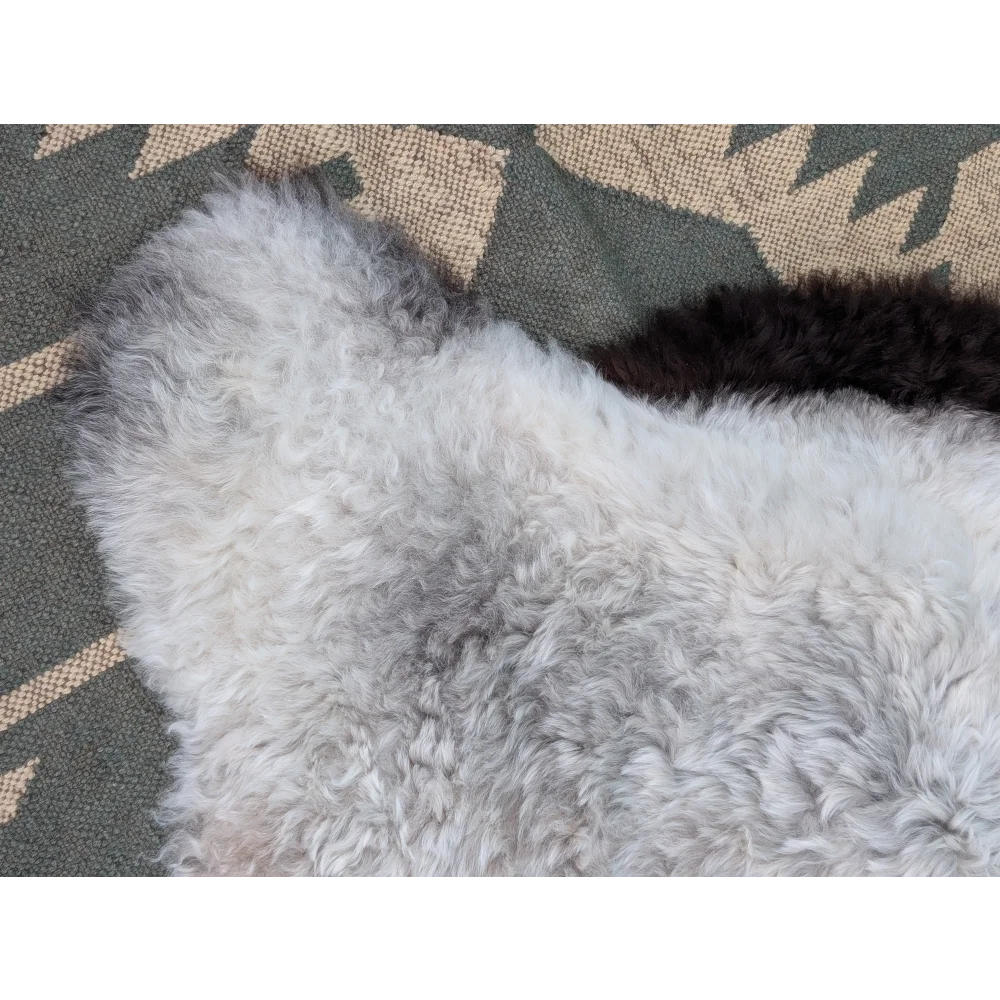 A soft curly white icelandic sheepskin rug with gray black edges long wool icelandic by angus oliver