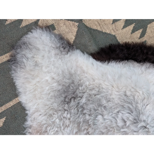 A soft curly white icelandic sheepskin rug with gray black edges long wool icelandic by angus oliver