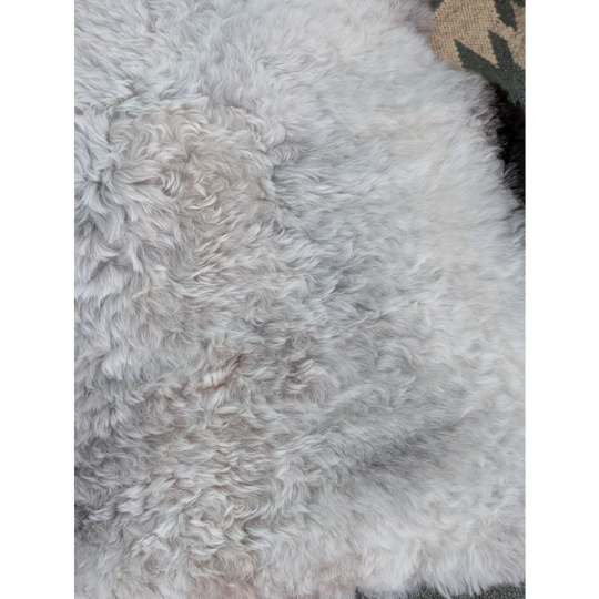A soft curly white long wool icelandic sheepskin rug with natural fluffy texture by angus oliver measuring 44 x 33 inches