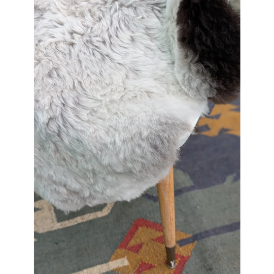 A plush light gray long wool icelandic sheepskin coat with dark brown ear detail by angus oliver