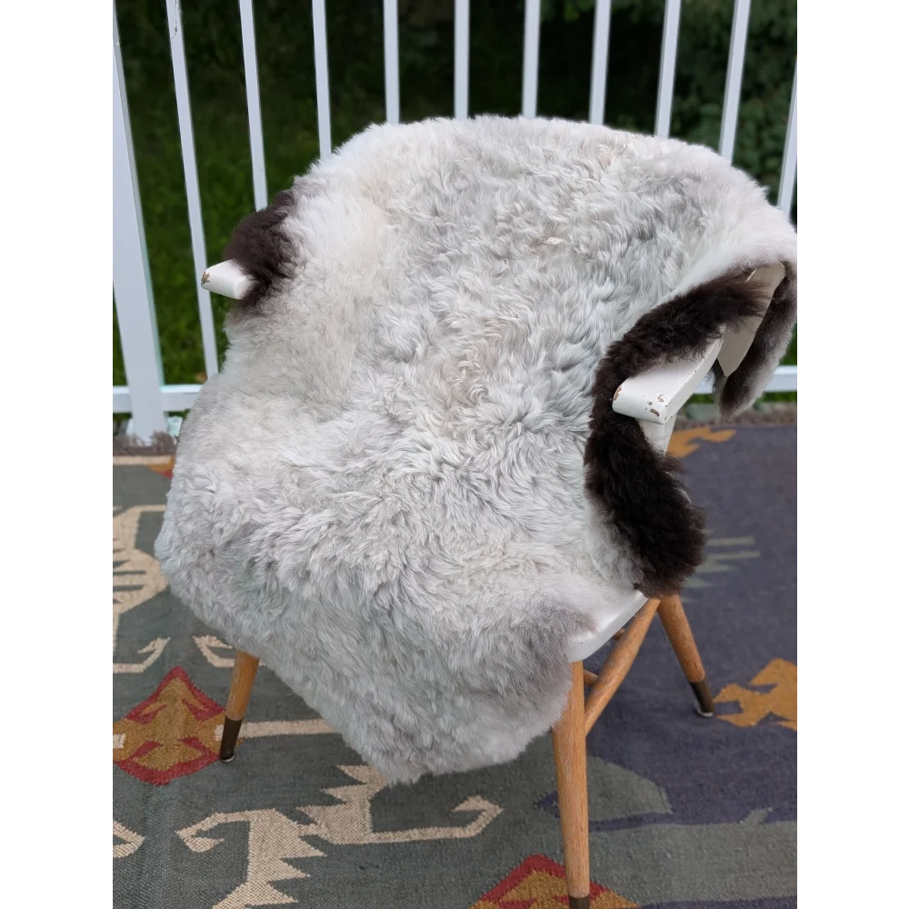 A cozy angus oliver icelandic sheepskin rug with long wool and dark brown patches draped over a chair back