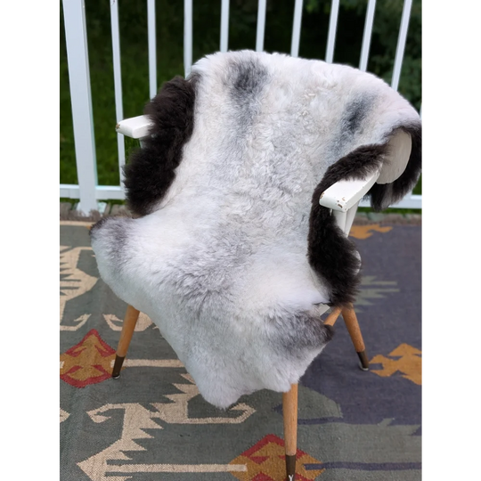 A plush large icelandic sheepskin rug with long wool gray patches draped over a wooden chair by angus oliver