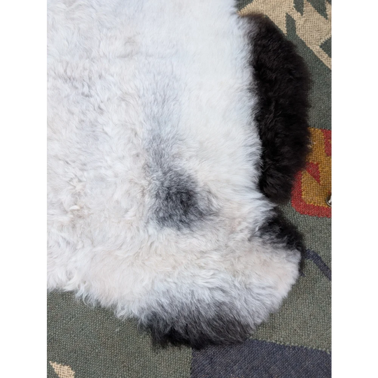 A plush white and black long wool icelandic sheepskin rug with soft curly texture from angus oliver