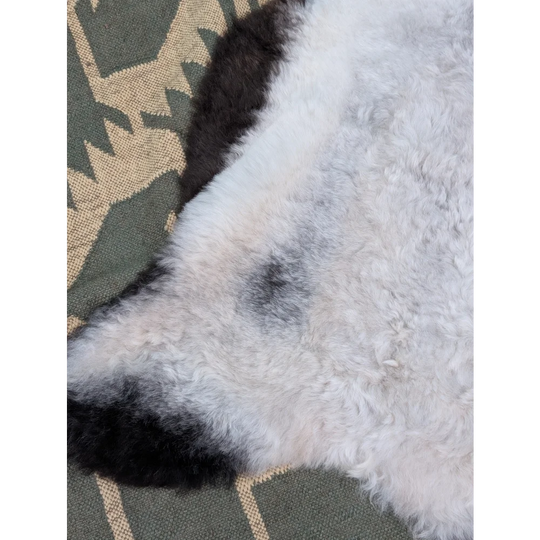 Large 43 x 31 inch icelandic sheepskin rug with soft long wool icelandic texture in white and black by angus oliver