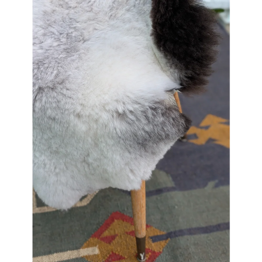 A fluffy two toned icelandic sheepskin coat with soft white body and dark brown curly edges by angus oliver