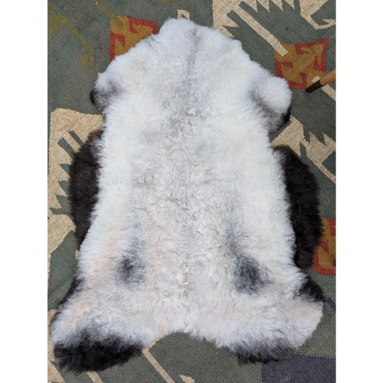 A large 43 by 31 icelandic sheepskin rug with soft long wool in natural white and gray by angus oliver