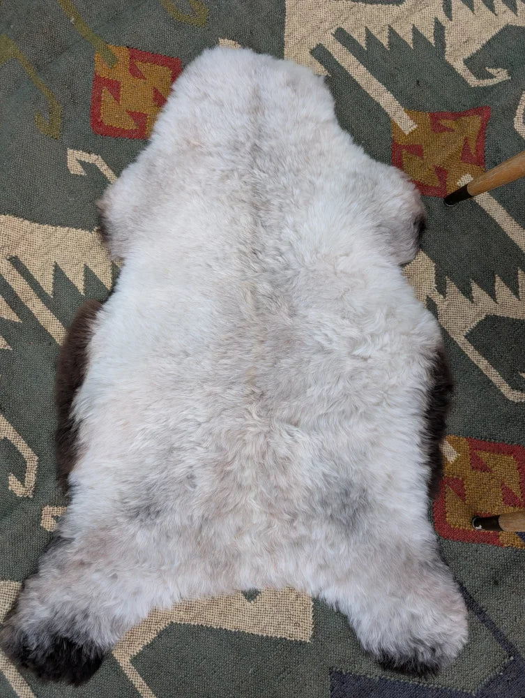 A plush icelandic sheepskin rug with long wool in white and gray by angus oliver, sized 44 x 27 inches