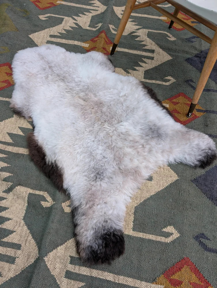 A fluffy 44 x 27 inch large icelandic sheepskin rug with long wool icelandic texture in white to dark brown by angus oliver