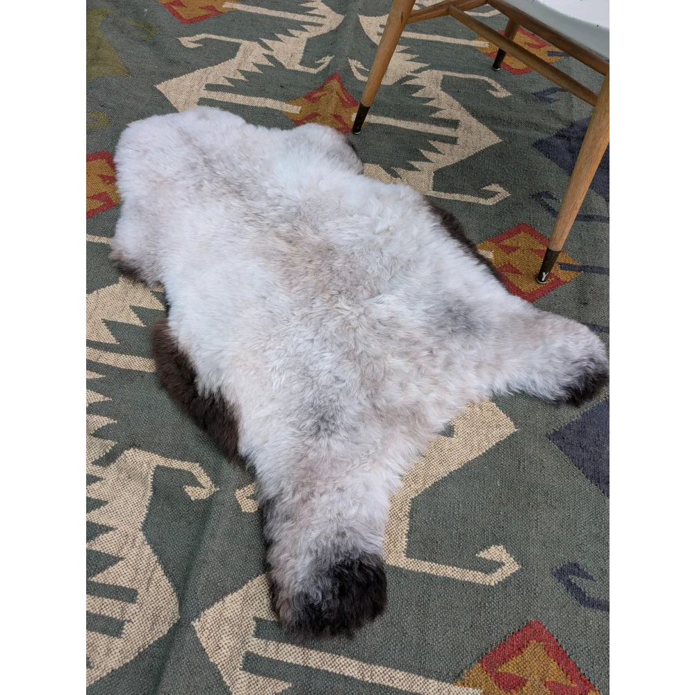 A fluffy 44 x 27 inch large icelandic sheepskin rug with long wool icelandic texture in white to dark brown by angus oliver