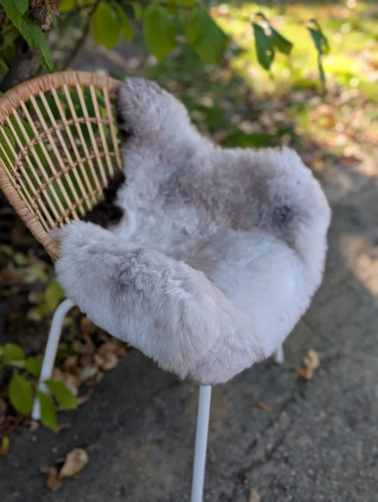 A soft gray large icelandic sheepskin rug with long wool and dark edges draped over a wicker-backed chair