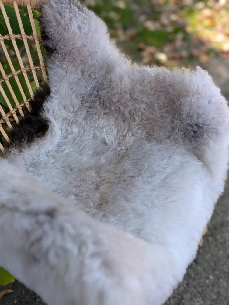 A soft gray icelandic sheepskin rug with long wool and dark edges draped over a wicker chair for cozy style