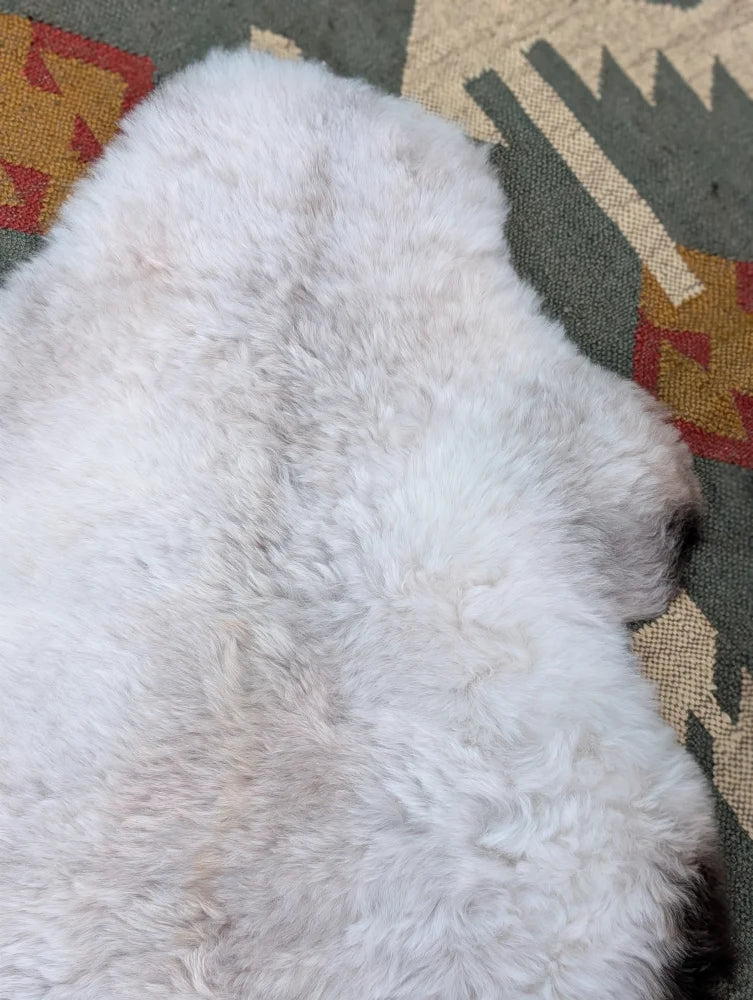 A fluffy white dog resting on a large 44 x 27 inch long wool icelandic sheepskin rug by angus oliver