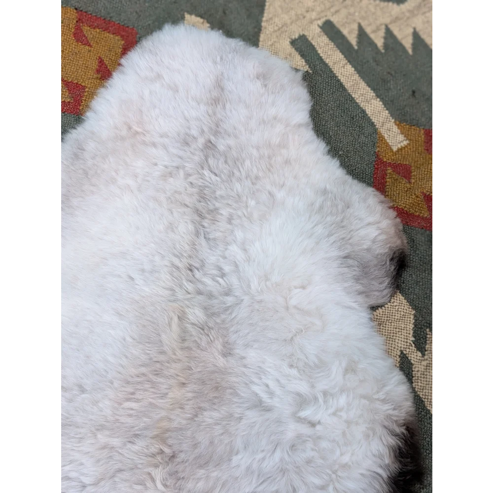 A fluffy white dog resting on a large 44 x 27 inch long wool icelandic sheepskin rug by angus oliver