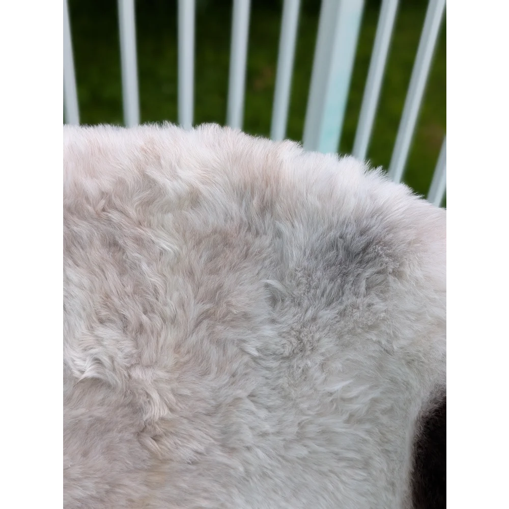 Soft fluffy off-white icelandic sheepskin rug with natural gray patches and long wool angus oliver style