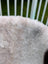 Soft fluffy off-white icelandic sheepskin rug with natural gray patches and long wool angus oliver style