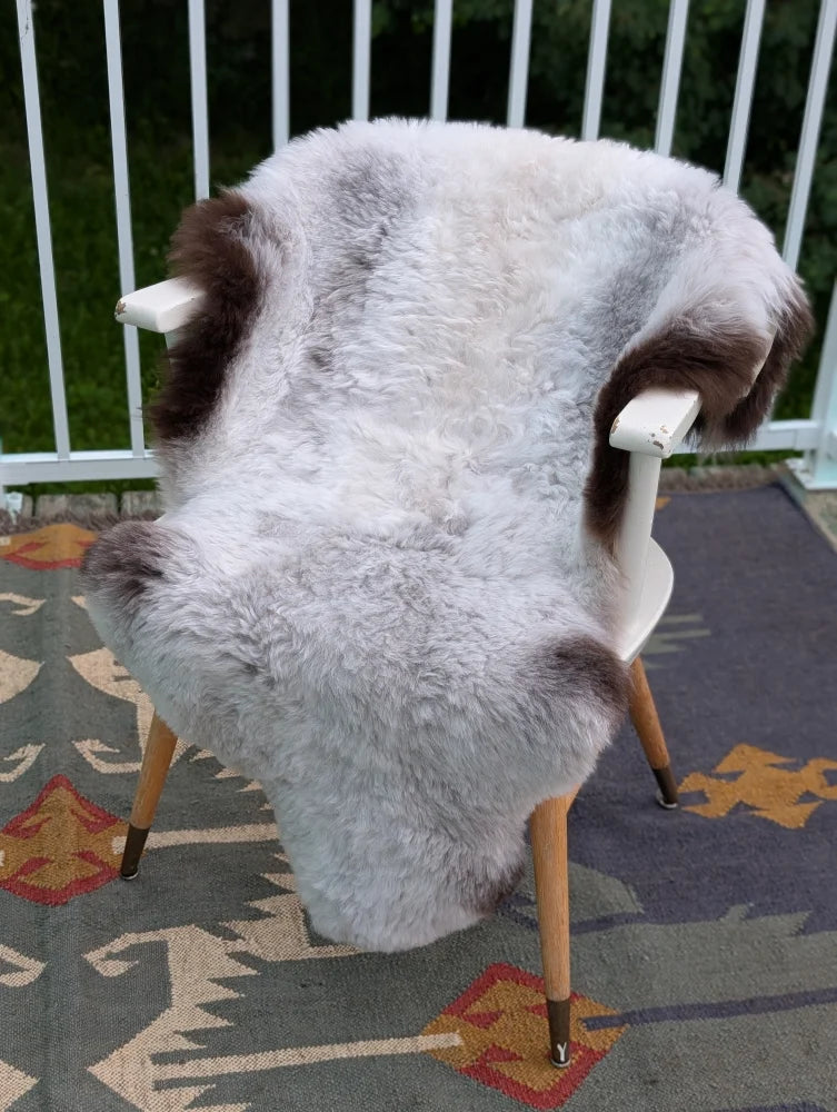 A plush two toned icelandic sheepskin rug in soft white and dark brown draped over a modern chair by angus oliver