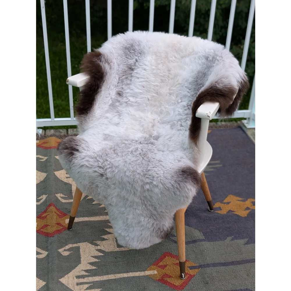 A plush two toned icelandic sheepskin rug in soft white and dark brown draped over a modern chair by angus oliver