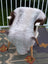 A plush two toned icelandic sheepskin rug in soft white and dark brown draped over a modern chair by angus oliver