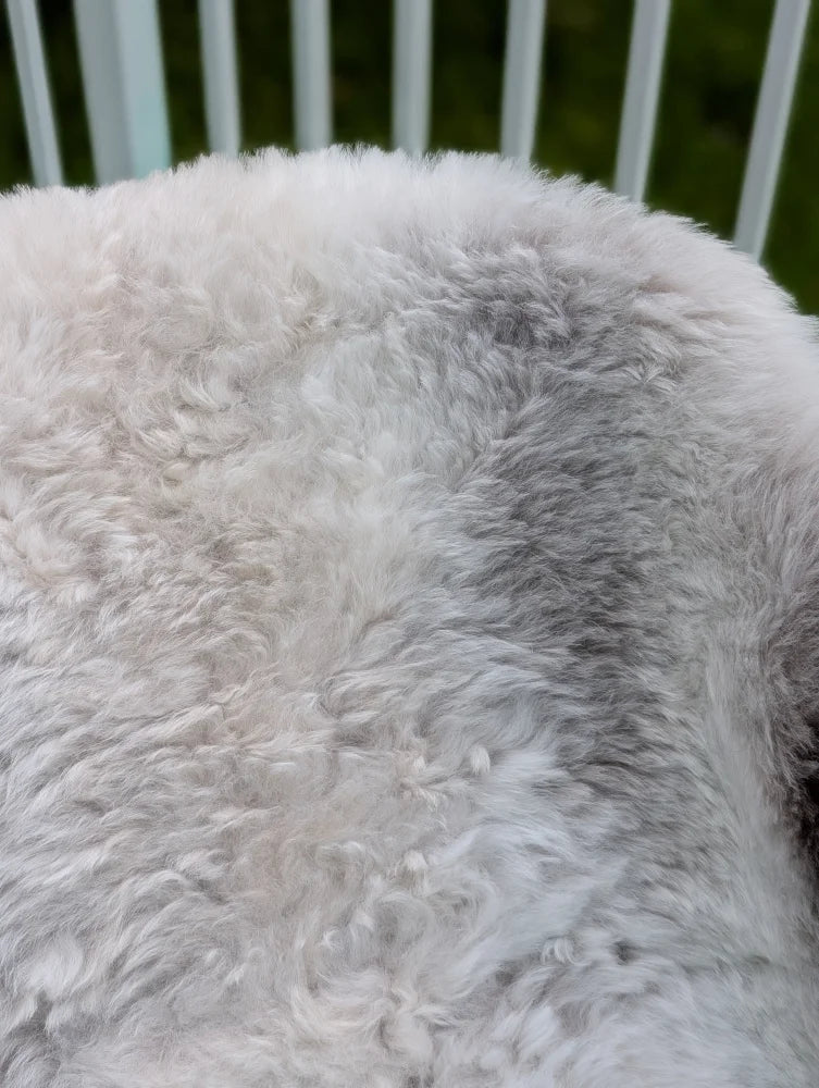 A plush large icelandic sheepskin rug in white and gray with long wool from angus oliver perfect for cozy decor
