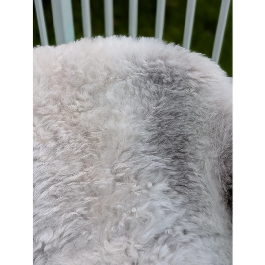 A plush large icelandic sheepskin rug in white and gray with long wool from angus oliver perfect for cozy decor