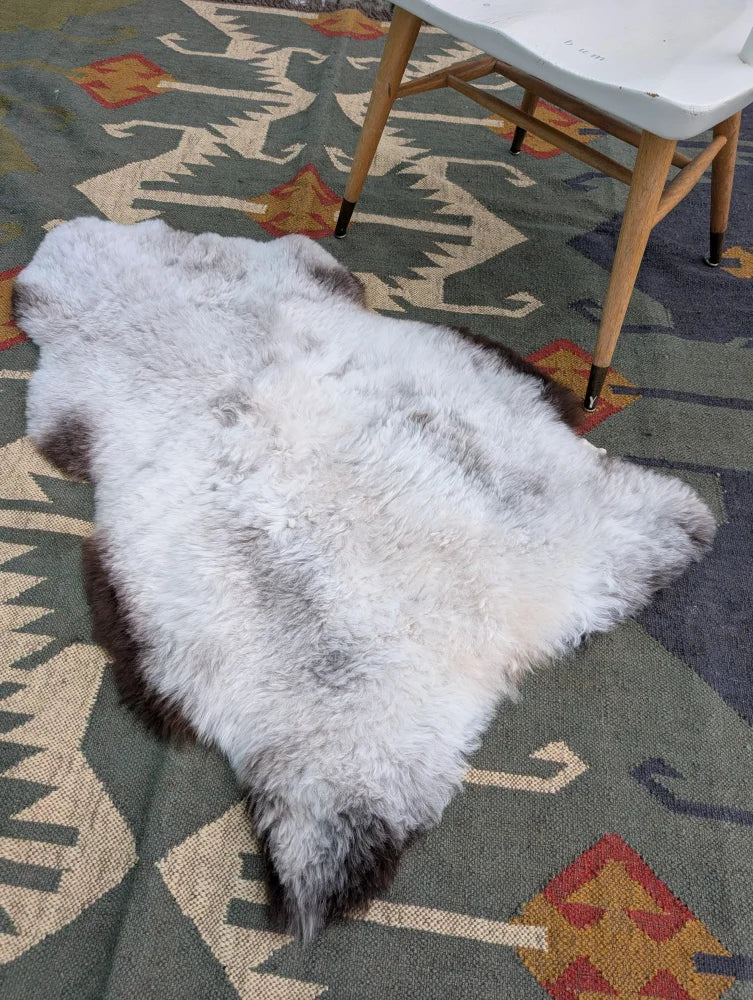 A soft fluffy white and gray large icelandic sheepskin rug with long wool and natural irregular edges by angus oliver
