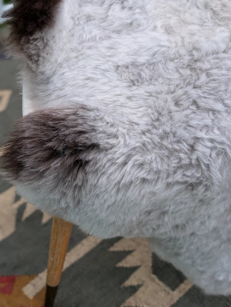 A plush gray and white long wool icelandic sheepskin with soft curly texture by angus oliver measuring 44.5 by 31 inches