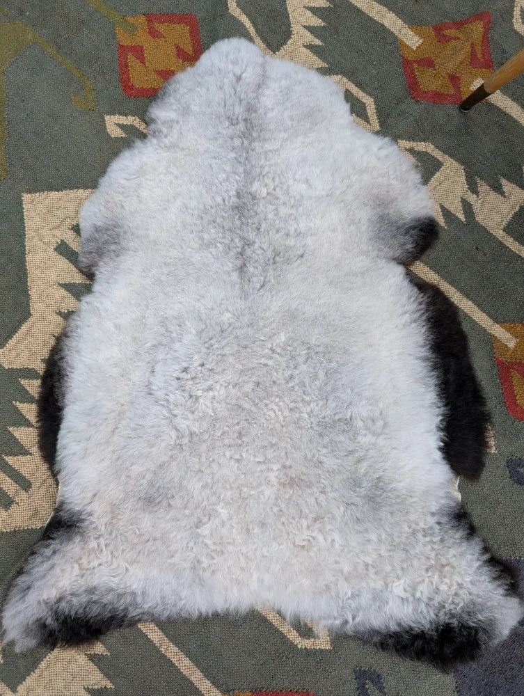 A soft curly white and black angus oliver icelandic sheepskin rug with long wool and fluffy natural texture